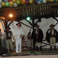 Zobacz w powiększeniu: Międzynarodowy Festiwal Tańców GODEL 2014 (65)