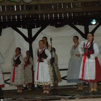 Zobacz w powiększeniu: Międzynarodowy Festiwal Tańców GODEL 2014 (70)