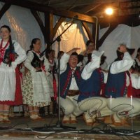 Zobacz w powiększeniu: Międzynarodowy Festiwal Tańców GODEL 2014 (72)