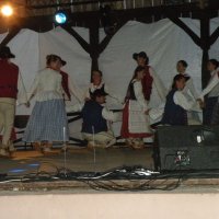 Zobacz w powiększeniu: Międzynarodowy Festiwal Tańców GODEL 2014 (74)