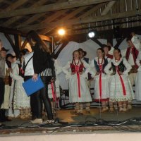 Zobacz w powiększeniu: Międzynarodowy Festiwal Tańców GODEL 2014 (75)