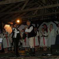 Zobacz w powiększeniu: Międzynarodowy Festiwal Tańców GODEL 2014 (1)