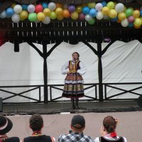 Zobacz w powiększeniu: Międzynarodowy Festiwal Tańców GODEL 2014 (7)