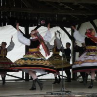 Zobacz w powiększeniu: Międzynarodowy Festiwal Tańców GODEL 2014 (9)