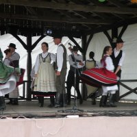 Zobacz w powiększeniu: Międzynarodowy Festiwal Tańców GODEL 2014 (18)