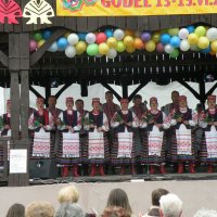 Zobacz w powiększeniu: Międzynarodowy Festiwal Tańców GODEL 2014 (27)