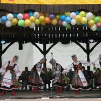 Zobacz w powiększeniu: Międzynarodowy Festiwal Tańców GODEL 2014 (30)