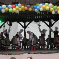 Zobacz w powiększeniu: Międzynarodowy Festiwal Tańców GODEL 2014 (31)