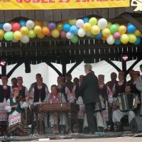 Zobacz w powiększeniu: Międzynarodowy Festiwal Tańców GODEL 2014 (43)