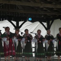 Zobacz w powiększeniu: Międzynarodowy Festiwal Tańców GODEL 2014 (62)