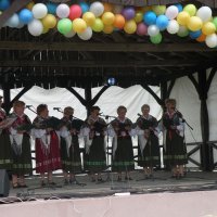 Zobacz w powiększeniu: Międzynarodowy Festiwal Tańców GODEL 2014 (64)