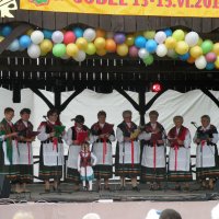 Zobacz w powiększeniu: Międzynarodowy Festiwal Tańców GODEL 2014 (68)