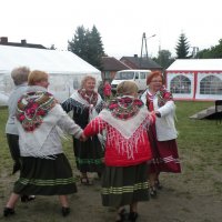 Zobacz w powiększeniu: Międzynarodowy Festiwal Tańców GODEL 2014 (70)