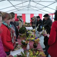 Zobacz w powiększeniu: Kiermasz Wielkanocny 2014 (26)