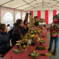 Zobacz w powiększeniu: Kiermasz Wielkanocny 2014 (56)