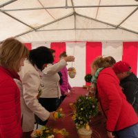 Zobacz w powiększeniu: Kiermasz Wielkanocny 2014 (65)