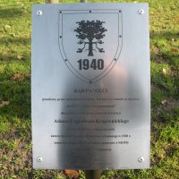 Zobacz w powiększeniu: Narodowe Święto Niepodległości - 11 listopada 2014 r. (2)