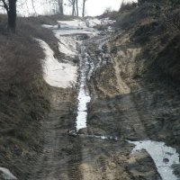 Zobacz w powiększeniu: OSP Baranów - Trening jazdy (8)