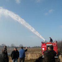 Zobacz w powiększeniu: OSP Baranów - Trening jazdy (51)