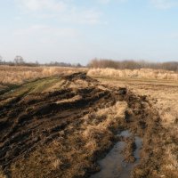 Zobacz w powiększeniu: OSP Baranów - Trening jazdy (59)