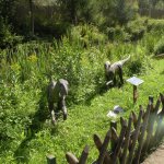 Obejrzyj galerię zdjęć: Wakacje 2014. Wycieczka do Bałtowa - Jura Park