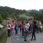 Obejrzyj galerię zdjęć: Wakacje 2014. Wycieczka do Bałtowa - Jura Park