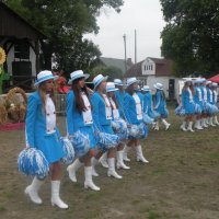 Zobacz w powiększeniu: Dożynki Gminne 2015 (3)