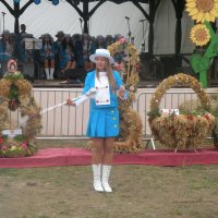 Zobacz w powiększeniu: Dożynki Gminne 2015 (4)