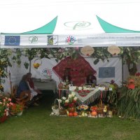 Zobacz w powiększeniu: Dożynki Gminne 2015 (7)