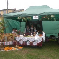 Zobacz w powiększeniu: Dożynki Gminne 2015 (11)