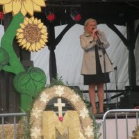Zobacz w powiększeniu: Dożynki Gminne 2015 (20)