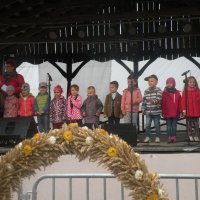Zobacz w powiększeniu: Dożynki Gminne 2015 (23)