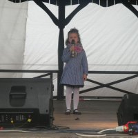 Zobacz w powiększeniu: Dożynki Gminne 2015 (25)