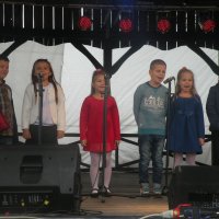 Zobacz w powiększeniu: Dożynki Gminne 2015 (29)