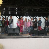 Zobacz w powiększeniu: Dożynki Gminne 2015 (33)