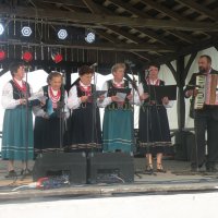 Zobacz w powiększeniu: Dożynki Gminne 2015 (49)