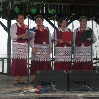 Zobacz w powiększeniu: Dożynki Gminne 2015 (51)