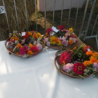 Zobacz w powiększeniu: Dożynki Gminne 2015 (54)