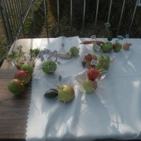 Zobacz w powiększeniu: Dożynki Gminne 2015 (55)