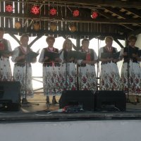 Zobacz w powiększeniu: Dożynki Gminne 2015 (56)