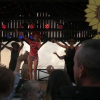 Zobacz w powiększeniu: Dożynki Gminne 2015 (64)