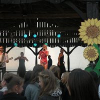 Zobacz w powiększeniu: Dożynki Gminne 2015 (68)