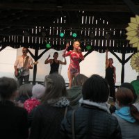 Zobacz w powiększeniu: Dożynki Gminne 2015 (69)