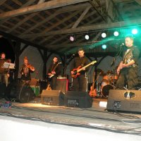 Zobacz w powiększeniu: Dożynki Gminne 2015 (9)