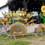 Obejrzyj galerię zdjęć: Dożynki Gminne 2015