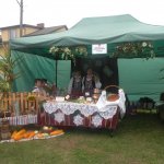 Obejrzyj galerię zdjęć: Dożynki Gminne 2015
