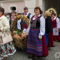 Zobacz w powiększeniu: Dożynki Gminne 2015 (Fot. R. Kuś) (24)