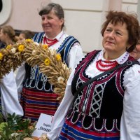 Zobacz w powiększeniu: Dożynki Gminne 2015 (Fot. R. Kuś) (25)
