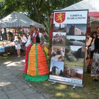 Zobacz w powiększeniu: Dożynki Powiatowe 2015 (4)