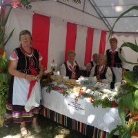 Zobacz w powiększeniu: Dożynki Powiatowe 2015 (5)